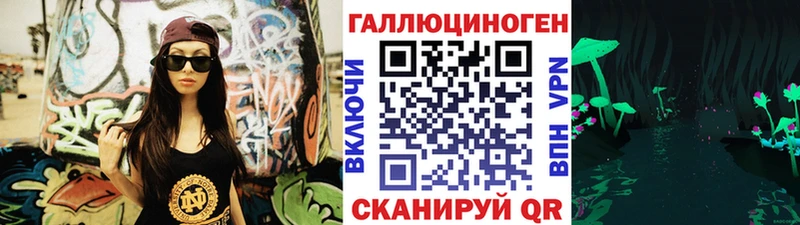 Псилоцибиновые грибы Psilocybine cubensis Бирюч